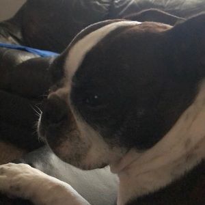 Meet your Posher, Lacy